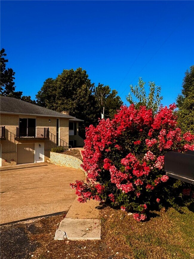 Building Photo - 14911 Dutchmans Dr
