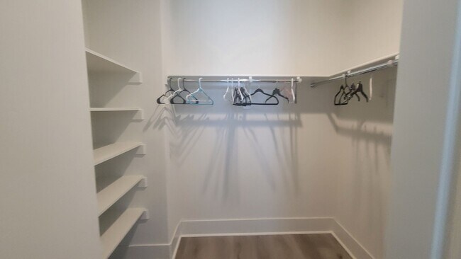 Building Photo - 3701 Parterre Ct