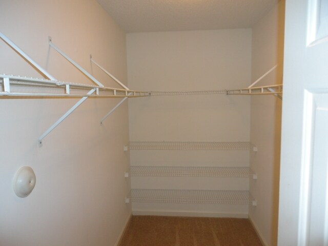 Building Photo - 5408 Pennfine Drive