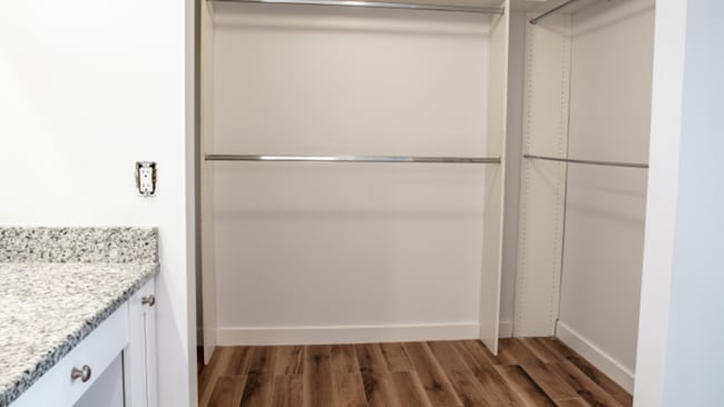 Primary Closet - 632 Brackenwood Cove