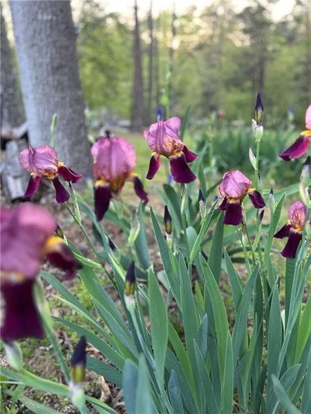 Building Photo - 4060 Merritt Dr