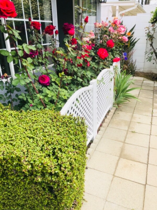 Building Photo - 23330 Victory Blvd