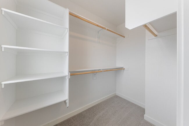 Building Photo - Newly Constructed 3 bedroom, 2.5 Bathroom home with luxury finishes!