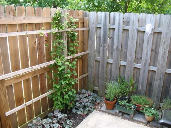 Building Photo - Available July 31st, 2026!