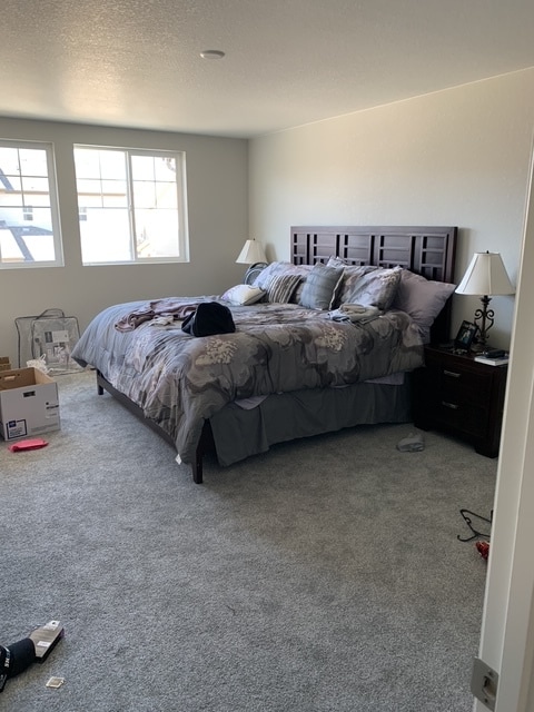 Building Photo - 2828 Low Meadow Blvd