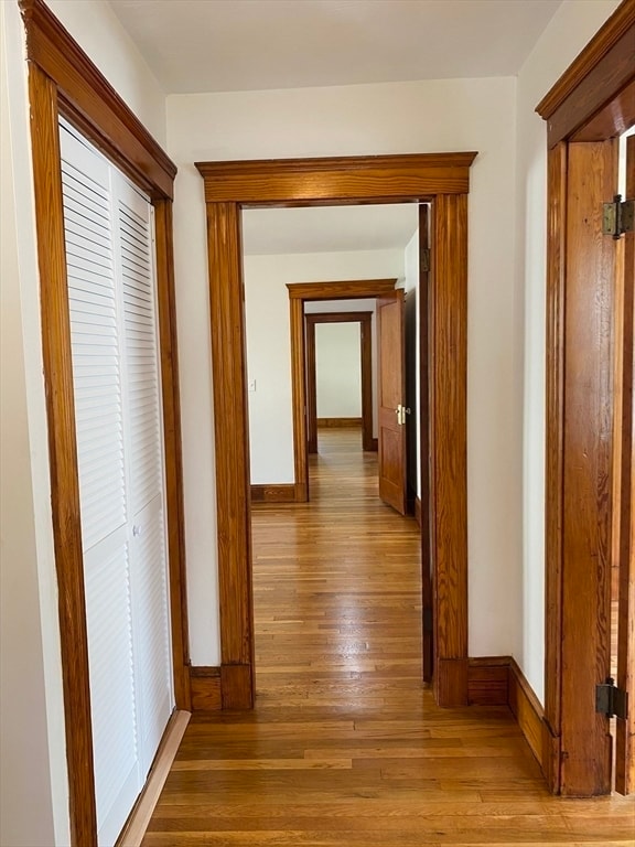 Building Photo - 37 Walnut Ct