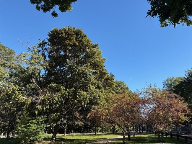 Building Photo - 22 Branchfield St