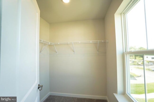 Building Photo - 4823 Lincoln Aly