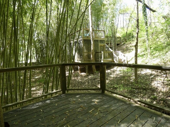 Building Photo - Sovereign Oaks Cabin