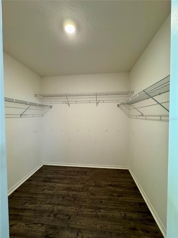 Building Photo - 3705 Apopka Ridge Cir