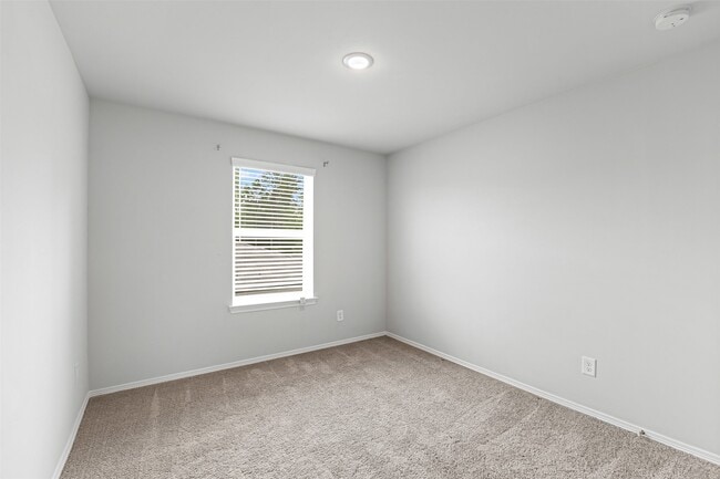 Building Photo - 10718 Soapberry Ct