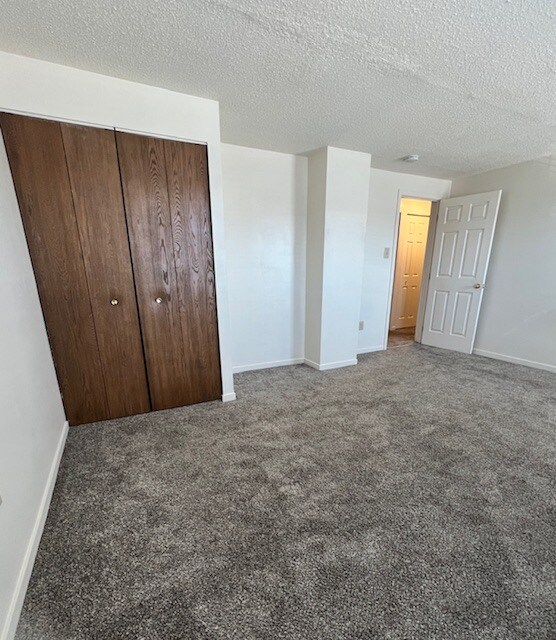 Bedroom 1 - 219 Lily Ct