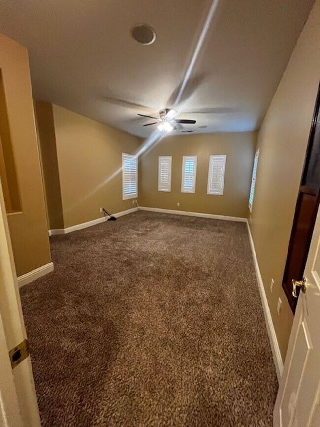 Building Photo - 8701 Maggiore Ln