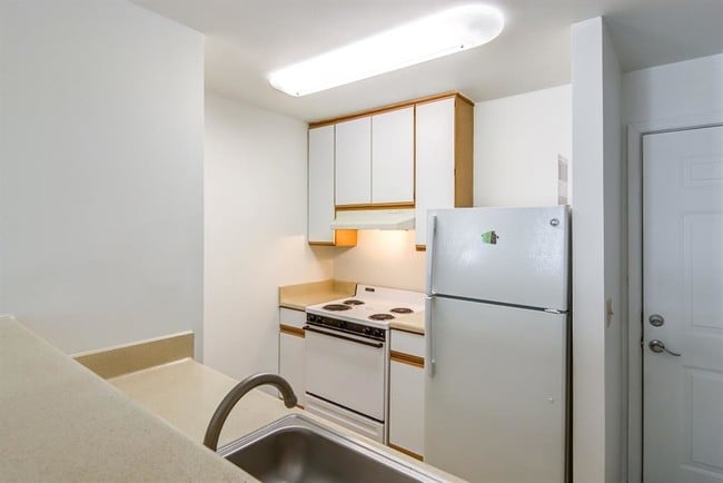 Open kitchen with plenty of light - Silver Hill at Arboretum Apartments