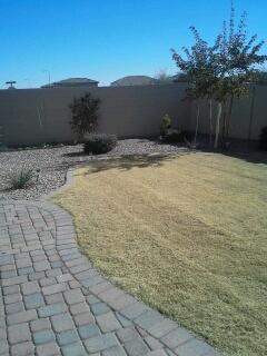 Building Photo - GORGEOUS 3 bdrm Plus Den in Chandler!