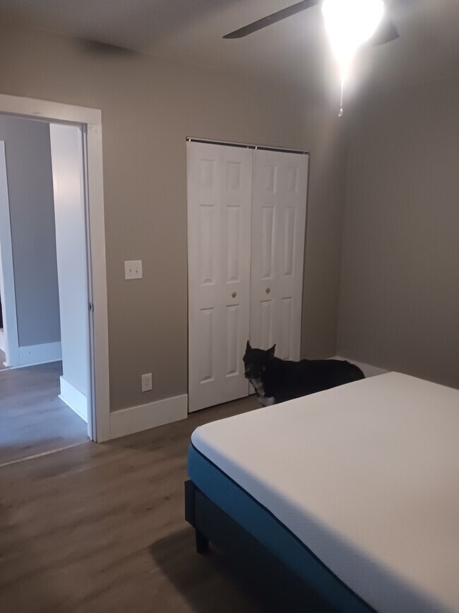 Downstairs bedroom/ master - 653 Vine St