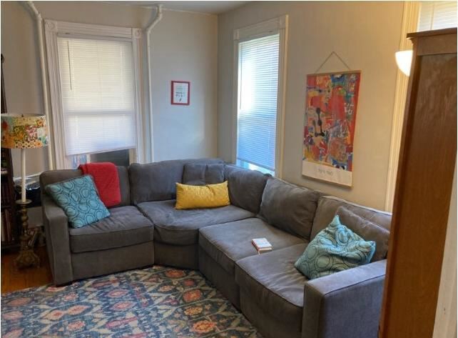 Living Room 1 - 38 S 4th Ave