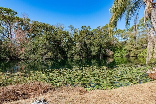 Building Photo - 4/2 Tampa Home