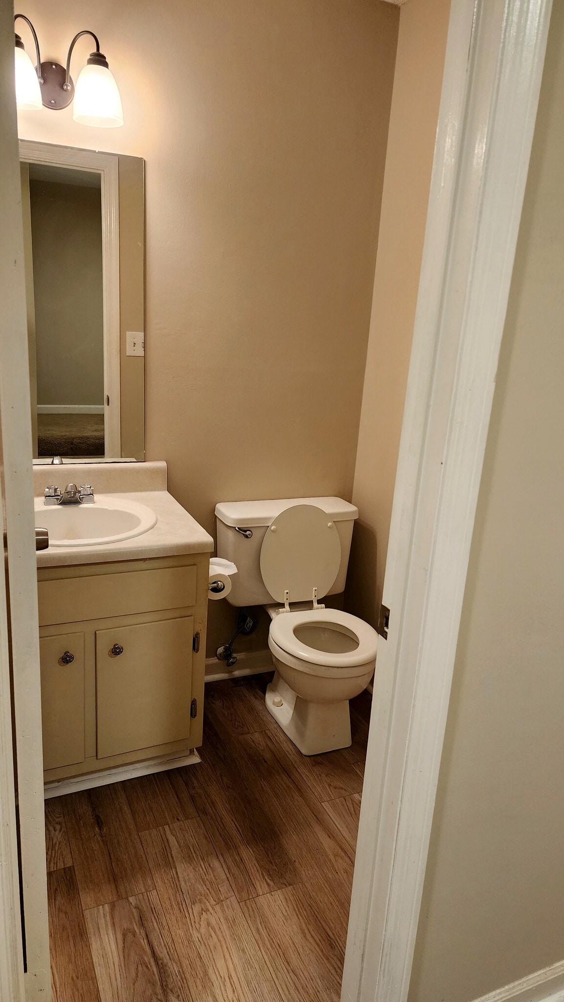 Main Half Bathroom - 2409 Farmstead Cir