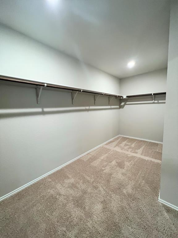 Building Photo - 6009 Brocade Dr