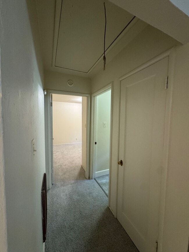 Building Photo - Serene mountain setting in Felton