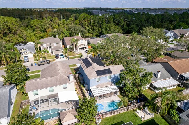 Building Photo - STUNNING 4-BED, 3-BATH HOME WITH SOLAR PANELS IN TAMPA, FL!