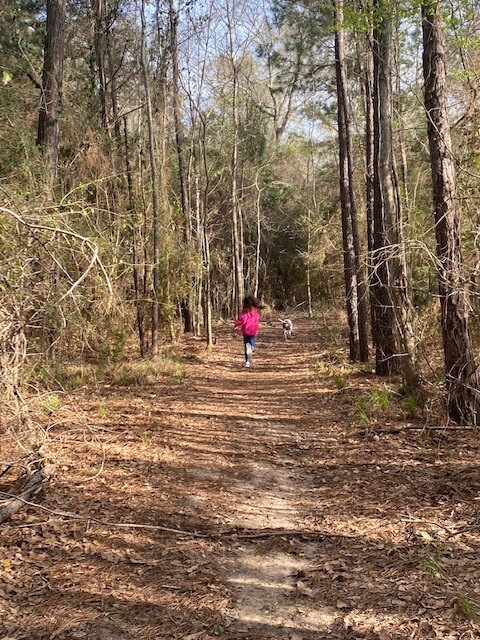 Building Photo - 4639 Sequoia Echo Dr