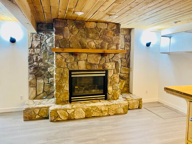 Basement Gas fireplace - 17065 Foxton Dr