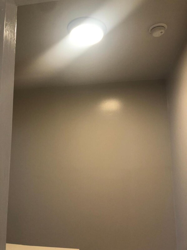 Building Photo - 313 Rutger St