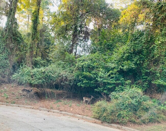 Building Photo - 3007 Willowbend Rd