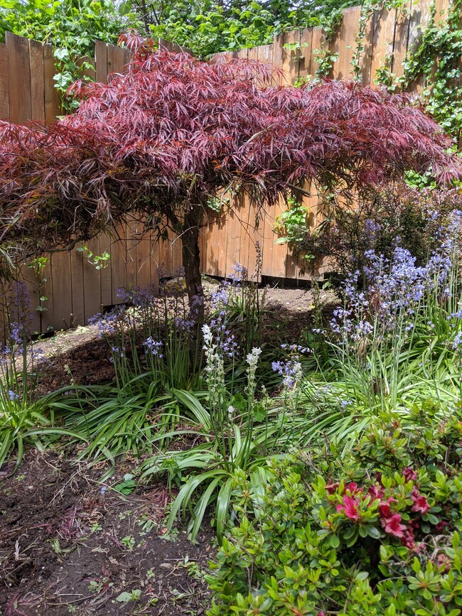 Terraced garden in backyard - 4810 S Holly St