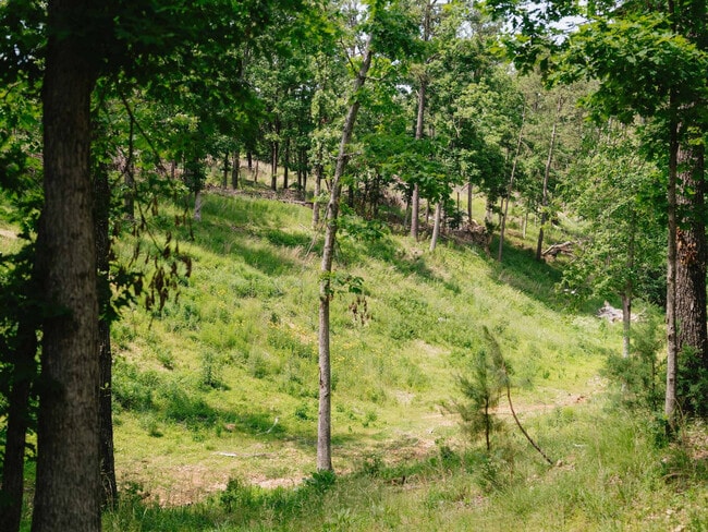 Building Photo - 10583 Two Girls Ln