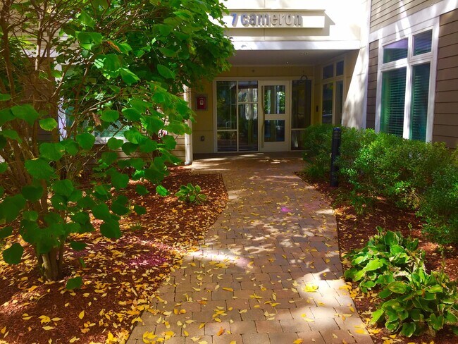 Building Photo - 7 Cameron Ave