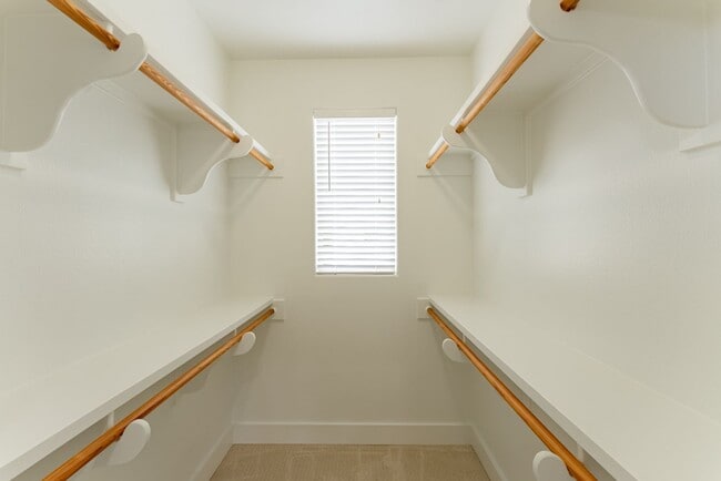 Building Photo - Gorgeous 4 bedroom, 5 bathroom House in Bouldin Creek!