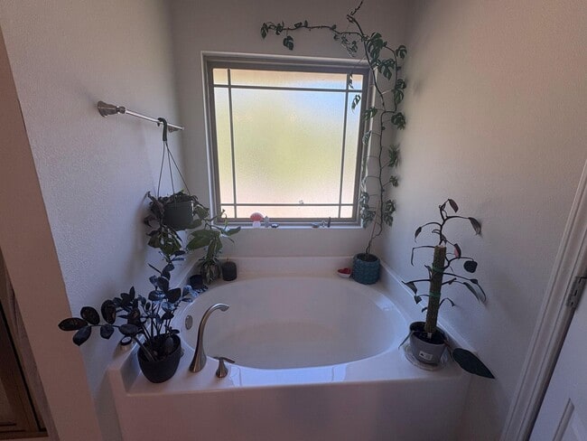 Building Photo - 5755 Marigold Loop