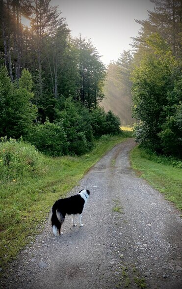 Building Photo - 475 Black Bear Holw