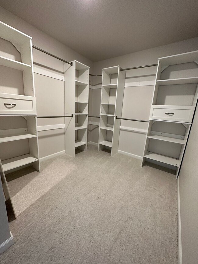 Building Photo - ---UPGRADED HOUSE---Single family house in Parker