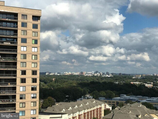 Building Photo - 3705 S George Mason Dr