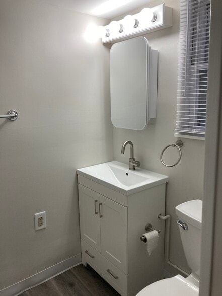 New vanity, medicine cabinet and toilet - 1003 E Hunter Ave