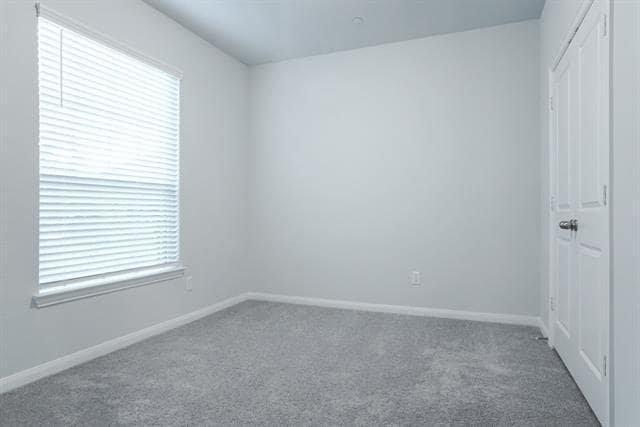 Building Photo - 4212 Foxtail Run Ln