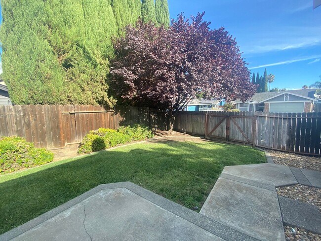 Building Photo - Fully Renovated Single Story Vacaville Home