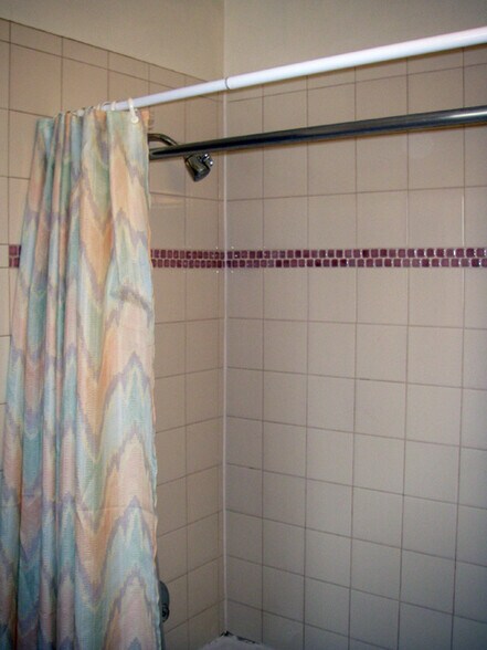 MASTER BATH TUB SHWR - 915 N Weber St