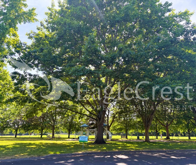Building Photo - Brand-New Studio Apartment with Blue Mountain Views – Utilities Included!