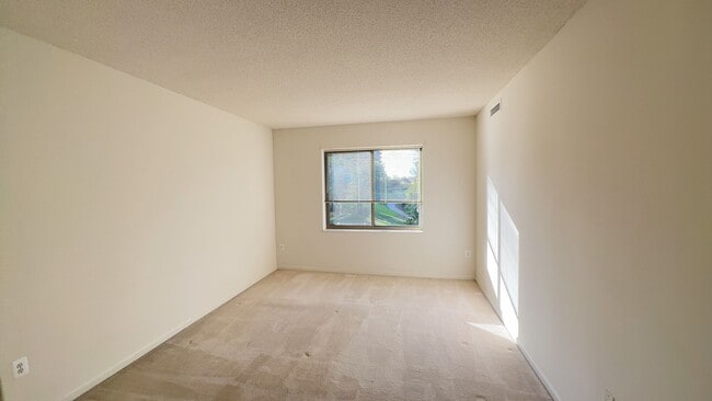 Building Photo - Sun-filled 2 Bed 2 Bath Condo With Sunroom...