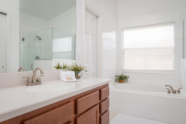 Building Photo - Beautiful Fully Furnished 4 Bedroom 3 Bath...