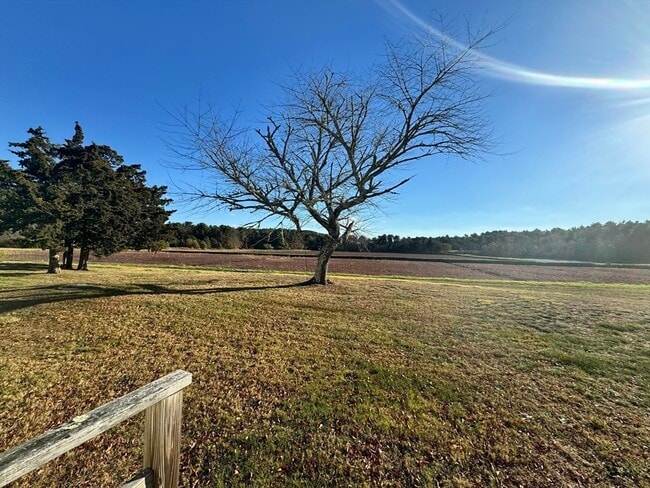 Building Photo - 2667 Cranberry Hwy