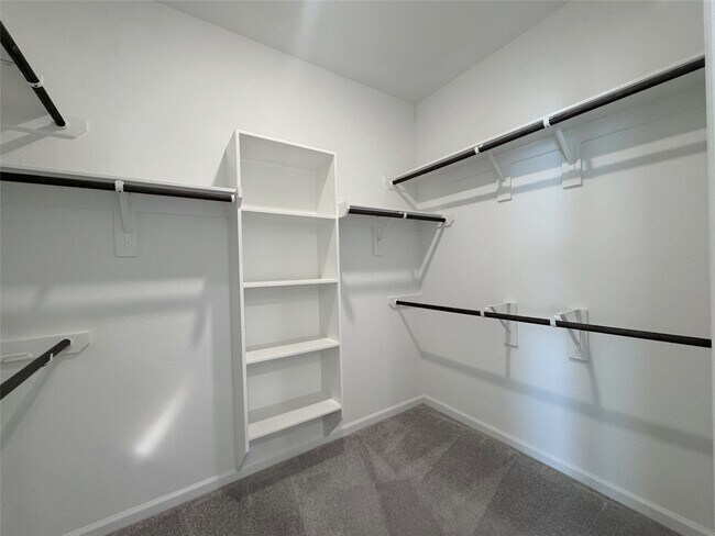 Building Photo - 30347 Centipede Grv Ln