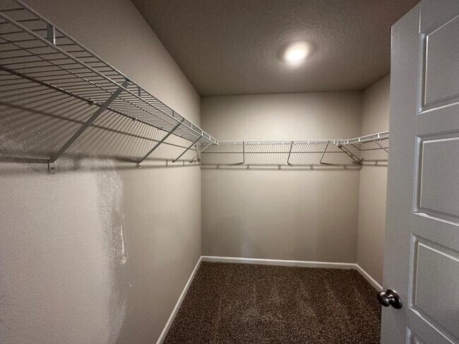 Building Photo - 2551 Arbordale Lp