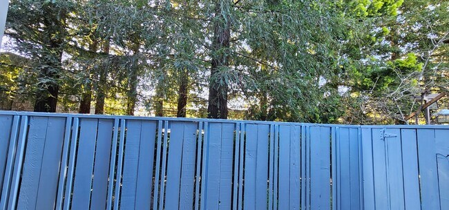 Building Photo - **Centrally Located in Santa Rosa!!**