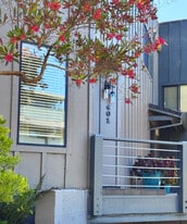 Building Photo - 401 Marine St